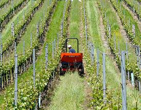 tractor in field